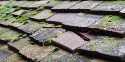Watlington roof repair costs